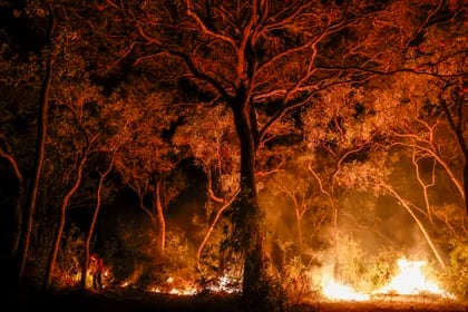 Las autoridades esperan ahora que el descenso de las temperaturas y las lluvias de este fin de semana en algunos puntos del estado ayuden a mejorar la situación (EFE/ Sebastiao Moreira)