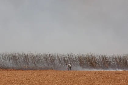 Según el Instituto Nacional de Investigaciones Espaciales, el estado de São Paulo registró 2.316 focos de incendio entre el jueves y el viernes (REUTERS/Joel Silva)