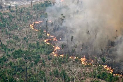 Vista aérea de los incendios en la Amazonia (EVARISTO SA / AFP)